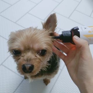 영이님이 올린 리뷰 사진 1