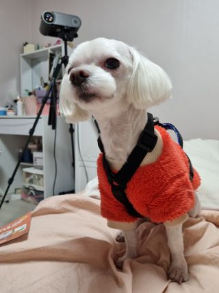노지혜님이 올린 리뷰 사진 1