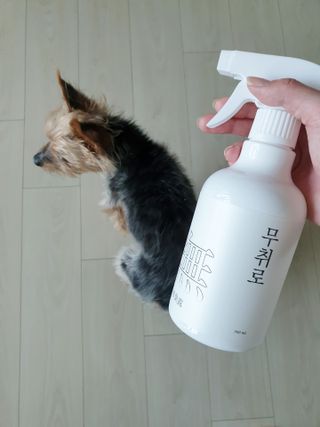 푸룻님이 올린 리뷰 사진 3