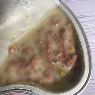 비타크래프트 조에시 하트캔 85g 강아지 습식캔 10캔 — 5점을 준 리뷰어가 2021년 8월 올린 사용 사진
