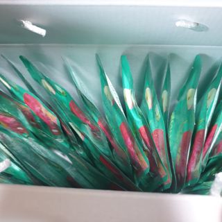 서울약사신협 잘 담은 알로애사과_70ml x 30포 — 5점을 준 리뷰어가 2021년 9월 올린 사용 사진