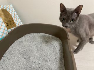 초이님이 올린 리뷰 사진 1
