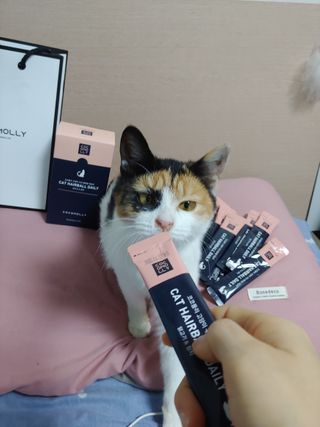 코코몰리 고양이 구강• 헤어볼 데일리 /신장• 요로 데일리 — 5점을 준 리뷰어가 2020년 12월 올린 사용 사진
