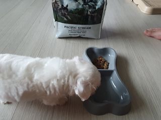 엘쏘둥님이 올린 리뷰 사진 3