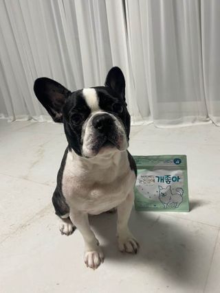 My Pet Care 천연단백질 눈건강에 개좋아 — 5점을 준 리뷰어가 2021년 1월 올린 사용 사진