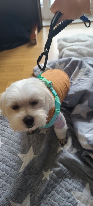 삐랭이님이 올린 리뷰 사진 2