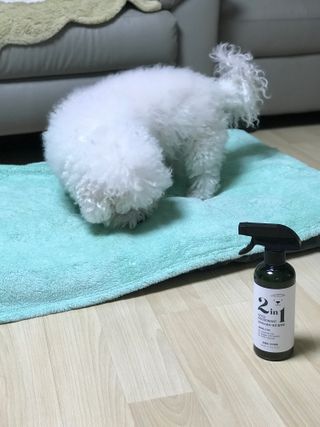 에그마요님이 올린 리뷰 사진 2