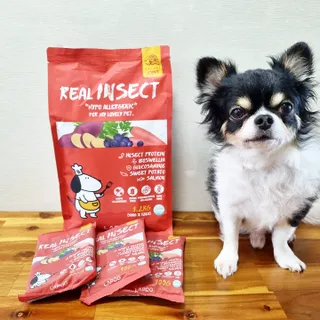 [푸디웜] 라포그  리얼인섹트 관절 저알러지 강아지 사료  1.2KG — 5점을 준 리뷰어가 2022년 8월 올린 사용 사진