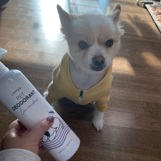 다링님이 올린 리뷰 사진 4