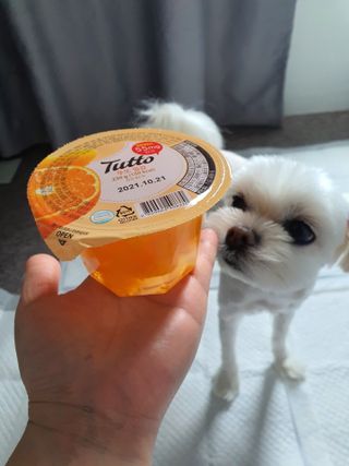 뽀오오옹님이 올린 리뷰 사진 1