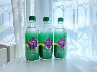 몽베스트 Montbest with Sparkling water Lemon OR Lime 20병(랜덤) — 5점을 준 리뷰어가 2021년 10월 올린 사용 사진