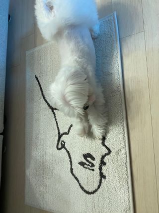 황방울이님이 올린 리뷰 사진 3