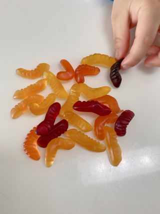 밍구시니맘님이 올린 리뷰 사진 3
