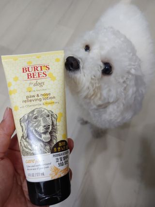 햇님달님님이 올린 리뷰 사진 4