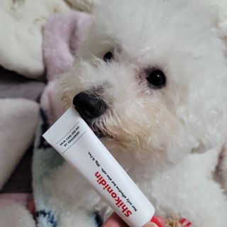 [자유펫] 시코니딘 고양이 강아지 피부 보습 연고 20g — 4점을 준 리뷰어가 2021년 11월 올린 사용 사진