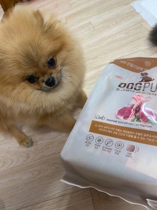 쿵쿵아잉님이 올린 리뷰 사진 2