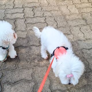 banew님이 올린 리뷰 사진 1