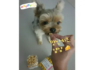 페페로니 진짜 프리바이오틱스 치즈+치즈고구마 180g+180g — 5점을 준 리뷰어가 2021년 7월 올린 사용 사진