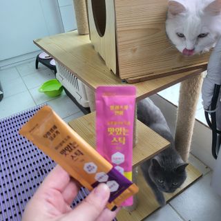 페페로니 맛있는 스틱 - 무항생제 닭고기 15개 + 알래스카 연어 15개 — 5점을 준 리뷰어가 2021년 9월 올린 사용 사진