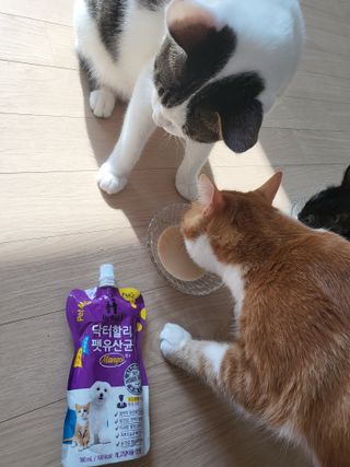 오둥이맘님이 올린 리뷰 사진 4