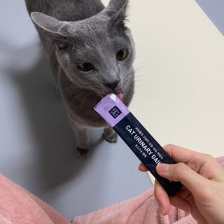 코코몰리 고양이 구강• 헤어볼 데일리 /신장• 요로 데일리 — 5점을 준 리뷰어가 2021년 3월 올린 사용 사진
