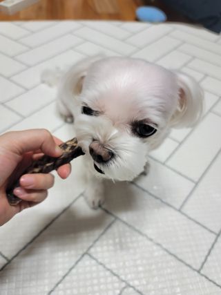 두부님이 올린 리뷰 사진 4