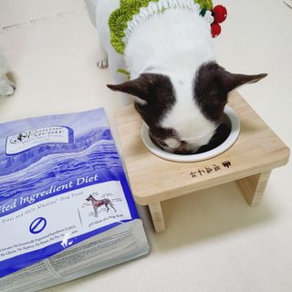 캐닌캐비어 알카라인 홀리스틱 그레이프리 앙뜨레 ALS_4종 오픈스카이, 와일드오션, 프리스피릿, 스페셜니즈 — 5점을 준 리뷰어가 2023년 2월 올린 사용 사진
