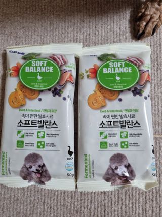 씨디랩 속이 편한 강아지 사료 소프트발란스 기호성 좋은 발효사료 피부와 위장 관절과 위장 — 5점을 준 리뷰어가 2021년 4월 올린 사용 사진