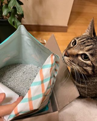 라기라기님이 올린 리뷰 사진 1