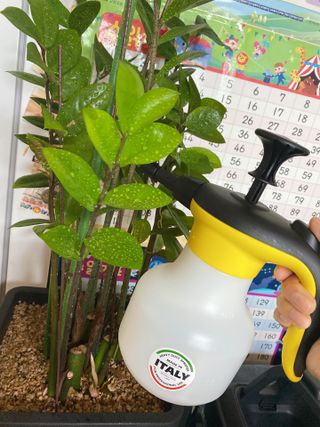 오투오 바이톤 산성용 압축분무기 — 5점을 준 리뷰어가 2021년 6월 올린 사용 사진