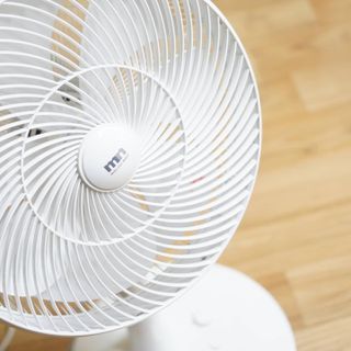 꽃양뿌니님이 올린 리뷰 사진 2