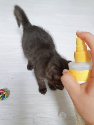 yumegom님이 올린 리뷰 사진 2