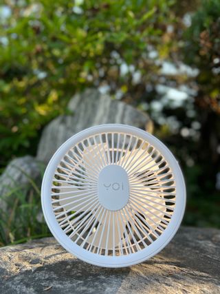 올리올리님이 올린 리뷰 사진 3