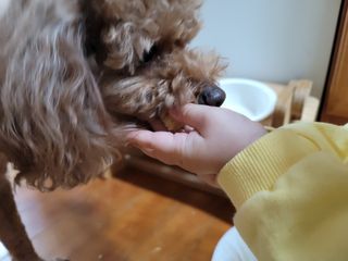 함냥님이 올린 리뷰 사진 3