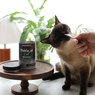 레비올라님이 올린 리뷰 사진 2