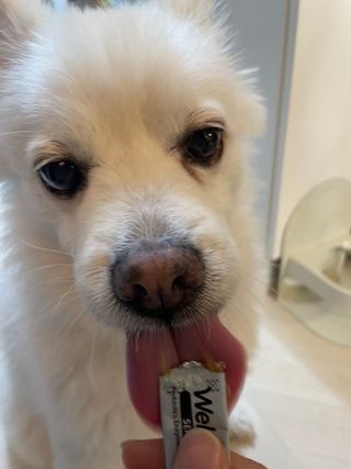 유타미양님이 올린 리뷰 사진 2