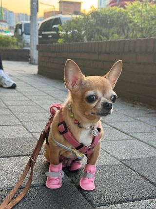 쏭또또님이 올린 리뷰 사진 2