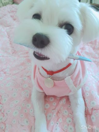 민앤후마미님이 올린 리뷰 사진 4