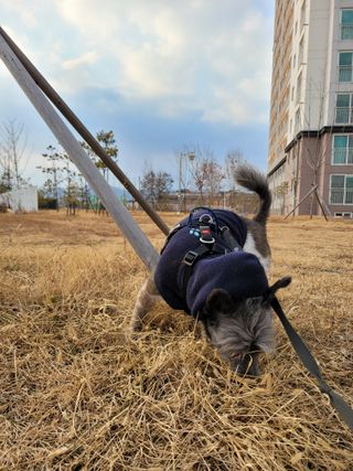 고구밍님이 올린 리뷰 사진 2