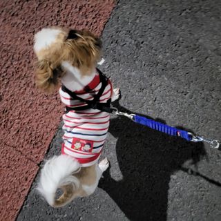튤립님이 올린 리뷰 사진 2