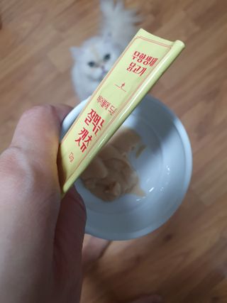 켈리심님이 올린 리뷰 사진 1