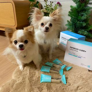 쏭블리님이 올린 리뷰 사진 1