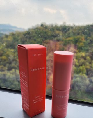스킨큐어 산다화 카멜리아 안티 링클 멀티밤 — 5점을 준 리뷰어가 2023년 10월 올린 사용 사진