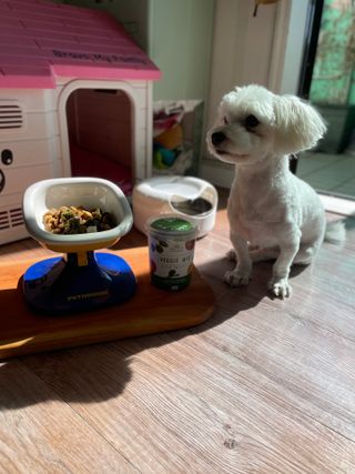 달콩리치님이 올린 리뷰 사진 2