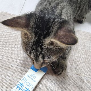 파비올라님이 올린 리뷰 사진 1