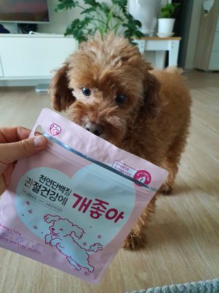 My Pet Care 천연단백질 관절건강에 개좋아 — 5점을 준 리뷰어가 2021년 1월 올린 사용 사진