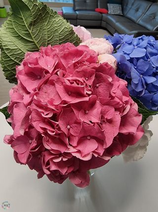 박꽃님이 올린 리뷰 사진 1