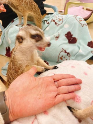 연쨩님이 올린 리뷰 사진 3