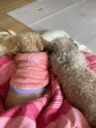 양쏭님이 올린 리뷰 사진 3