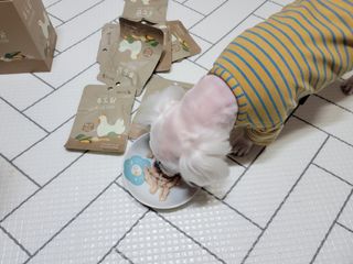 두부님이 올린 리뷰 사진 3